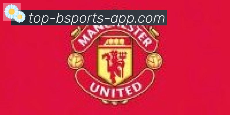 bsports体育合作伙伴