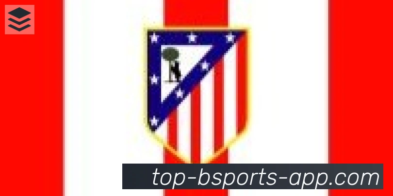 bsports体育合作伙伴