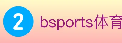 bsports体育 logo